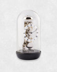 MECHANICAL CLOCK UNDER GLASS